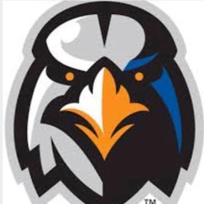 ingersoll minor baseball logo