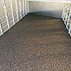 Silver 2027 AgHAUL 2 Horse Stock Combo Slant 2 - 5200lb Axles at Belore Trailer Sales